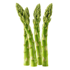 3D Three slender light green asparagus spears on transparent background