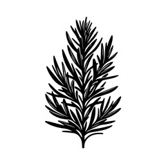 Black Silhouette of a Rosemary Sprig.