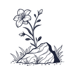 Delicate line art of a single flower emerging from a textured rock on a clean white background