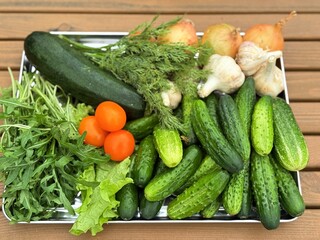 Autumn harvest