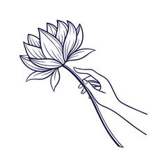 Elegant line art of a single flower held gently in a human hand on a clean white background