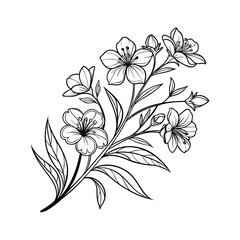 Elegant vintage botanical flower sketch with delicate line art on a clean white background