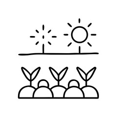 Sun shining on vegetable patch with growing plants