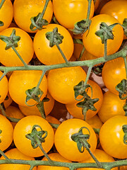 Yellow cherry tomatoes on the vine. Close-up. Background.