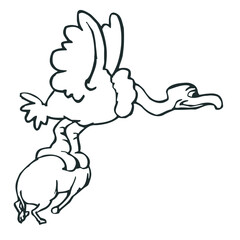 buzzard cath some animal vector illustrations