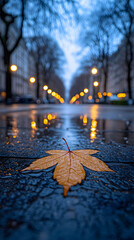 A single autumn leaf lies on a wet city street at dusk.