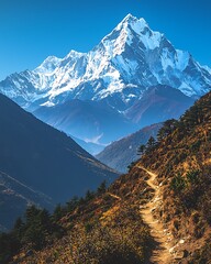 Rocky Mountain Path high resolution pictureb