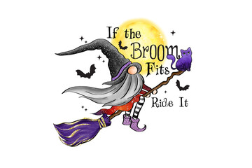Illustration of a whimsical gnome witch flies on a broomstick with a cat under a full moon isolated on transparent background
