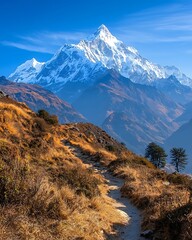 Snow Capped Mountain View high resolution picture