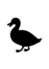 Silhouette of a Walking Duck