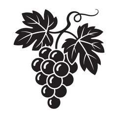 Obraz premium Black grapes with leaves and vine fruit