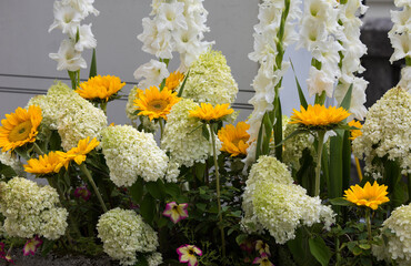 Vibrant garden display with sunflowers, hydrangeas, and gladiolus