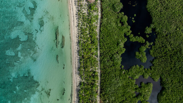 Vista a&eacute;rea cenital de playa tropical, mar turquesa y zona de manglares
