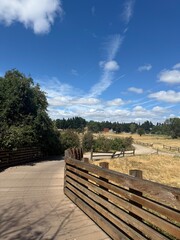 wooden bridge over park