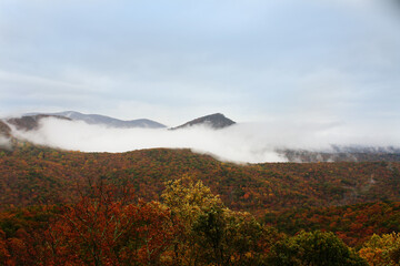 Georgia Mountains in Fall
