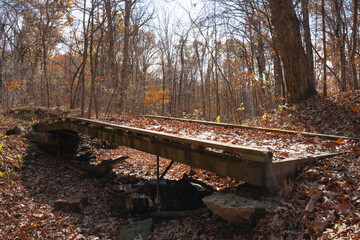 A Walking Bridge with Fallen Leaves During Autumn.