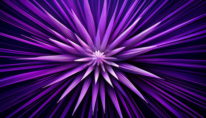 purple spiky starburst illustration