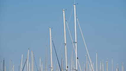 Sailboat masts against clear blue sky in marina