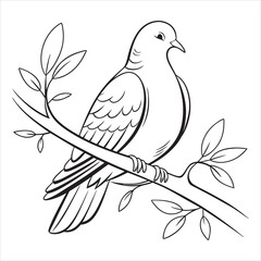 Dove Vector