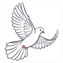 Dove Vector