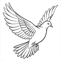 Dove Vector