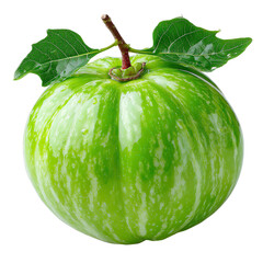 A single green pumpkin with white stripes is presented on a bright white background with a stem and two leaves, captu the essence of autumn harvest season.