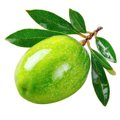 A vibrant green olive glistening with tiny water droplets rests on a small branch adorned with fresh, verdant leaves, all set against a stark white background here.