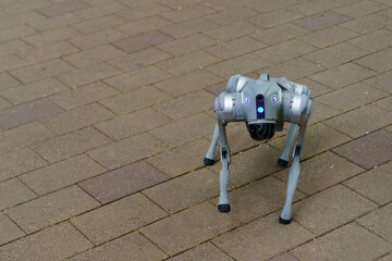 Robotic creature explores urban pathway during sunny daylight