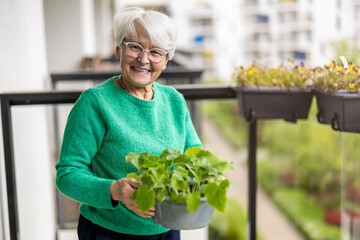 Elderly woman planting seedlings in pots on balcony at home
