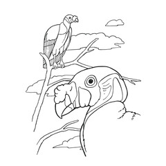 turkey vulture bird vector illustrator. Two bird. Drawing. Simple.