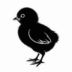 Fototapeta premium Chick silhouette illustration on white background, bird