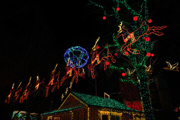 Reindeer and other Christmas lights during the holidays.