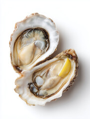 Pair of oysters on half shell isolated on solid white background, photograph