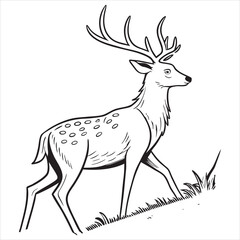 Deer vector