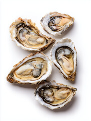 Oysters on half shell isolated on solid white background, photograph