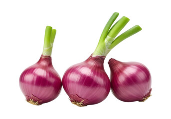 Red onion 