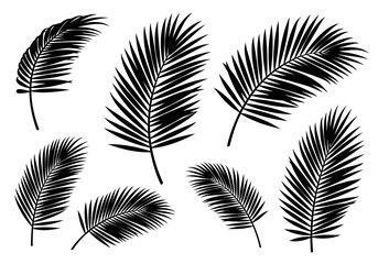 Black and White Palm Leaves Seamless Pattern Tropical Exotic Background