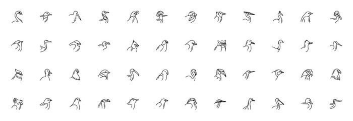 Birds vector icon set. Minimalist avian collection. Includes swan, kiwi, quail, peacock, penguin, eagle, parrot, flamingo, owl, toucan and more. Editable stroke illustration.