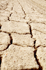 closeup cracked earth in the desert, drought dry sand