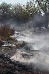 Smoke spreads across the surface of the earth