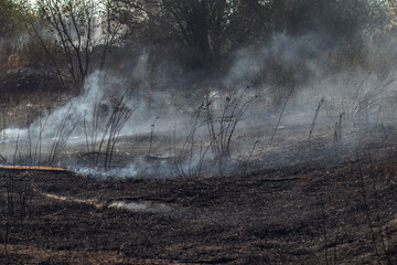 Field in smoke. Smoke spreads across the surface of the earth