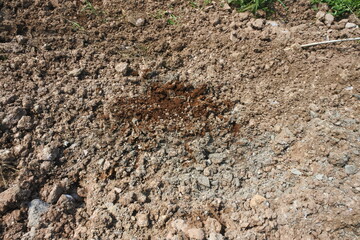 The texture of clay from the mountains used to fill rice fields to make flat, solid land for building foundations can be used as a background image for a banner design.