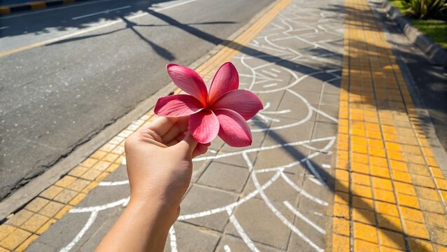 A hand holds a vibrant pink plumeria flower against a backdrop of a patterned sidewalk and asphalt road on a sunny day. - Powered by Adobe