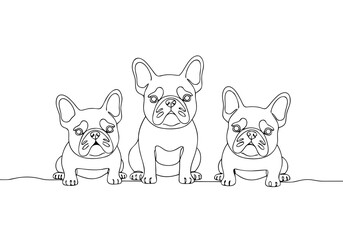 Three French Bulldogs sitting in a row in simple line drawing  