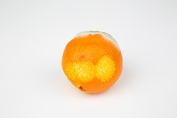 Moldy orange