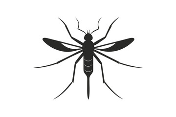 mosquito isolated on white background