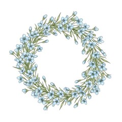 Delicate wreath of blue wildflowers illustration for greeting cards and other design projects.