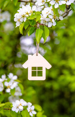 The symbol of the house among the branches of the pear
