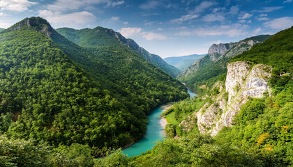 explore the stunning tara river canyon in montenegro surrounded by lush green landscapes