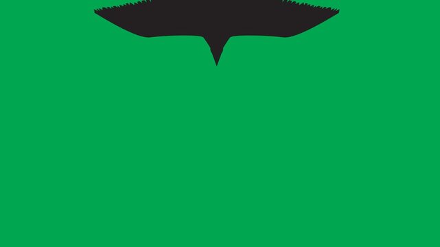 Bird silhouette animation flying vertically from bottom to top and top to bottom on green screen. 4K animated for bird shadow, overlay, motion graphics, and transitions.
